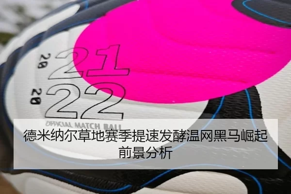 德米纳尔草地赛季提速发酵温网黑马崛起前景分析